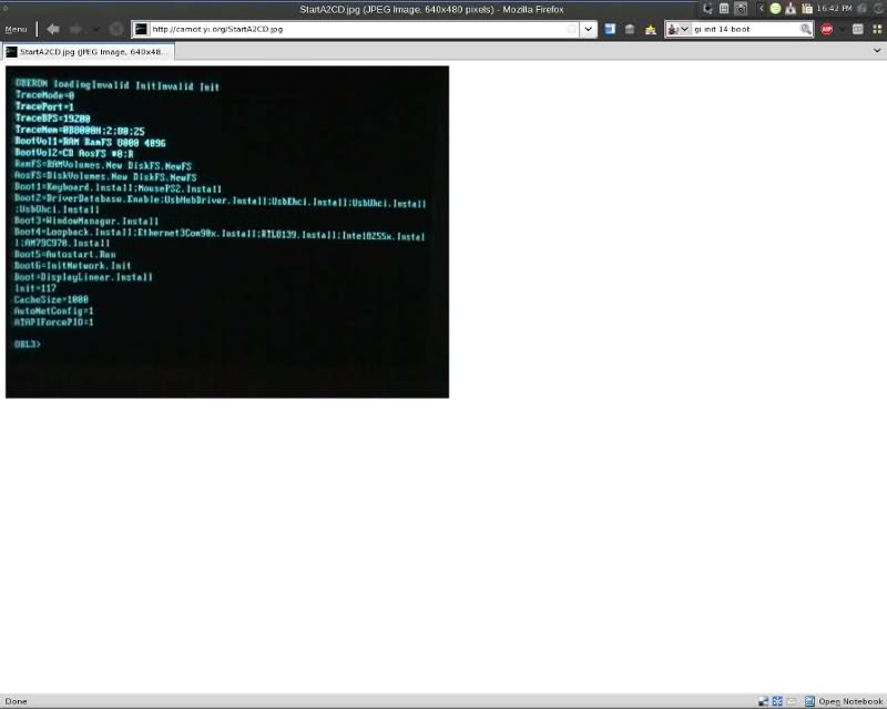 Screenshot of glitched GRUB console message