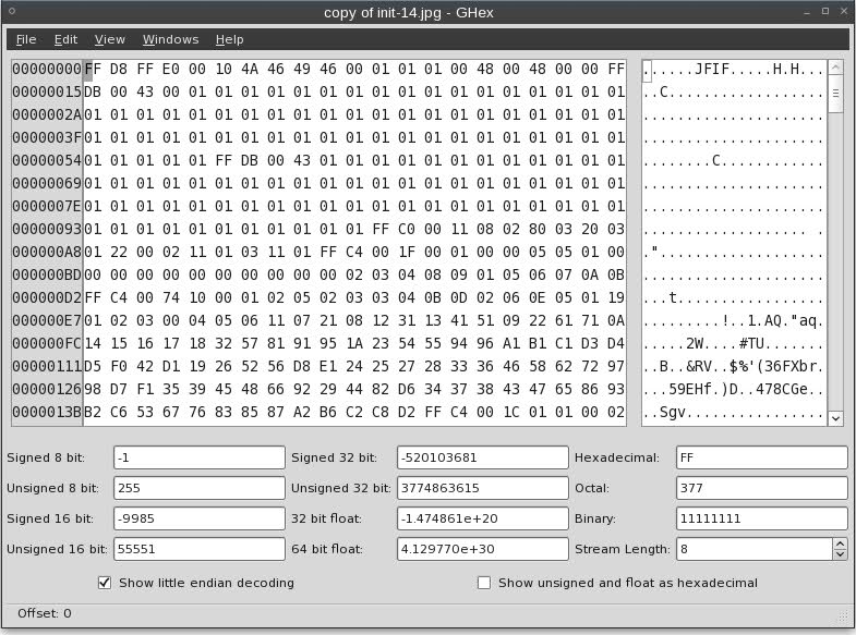 Screenshot of hex editor